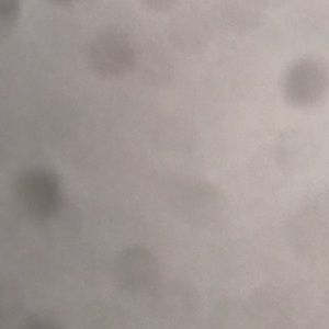 Meet your Posher, Joel